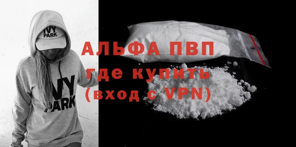 стафф Алексин